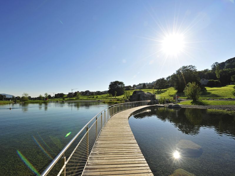 Boardwalk by the lake