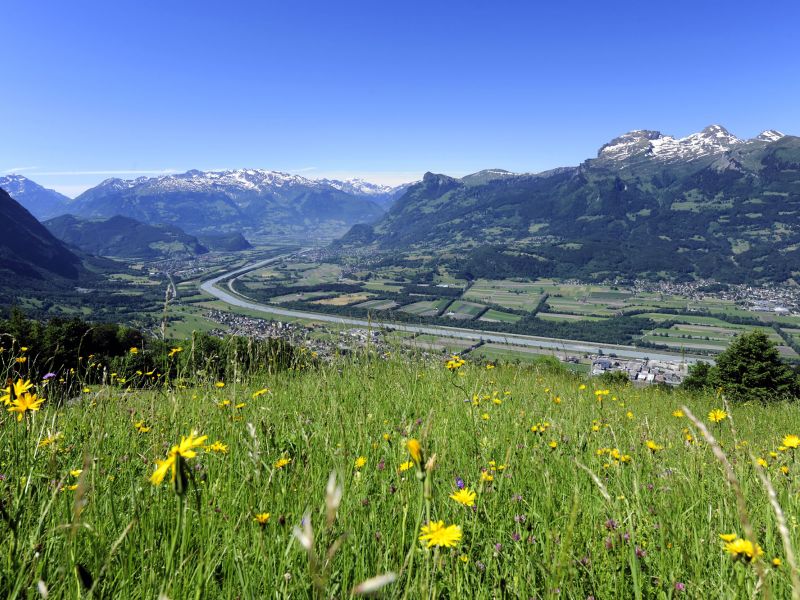 Alpine valley panorama