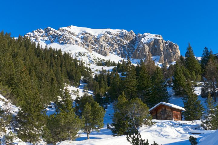 Winter Mountain Hut