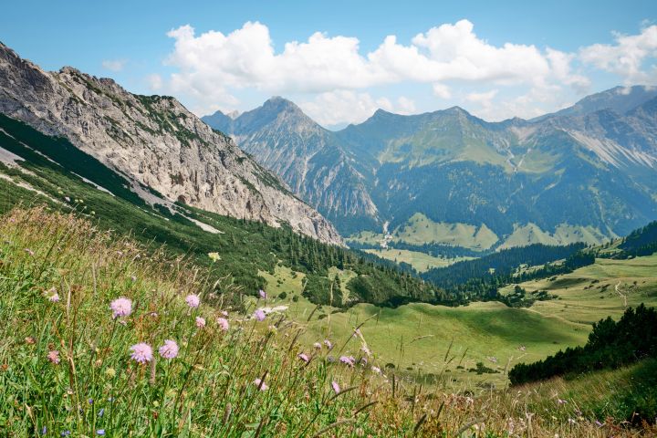 Mountain landscape with alpine meadow