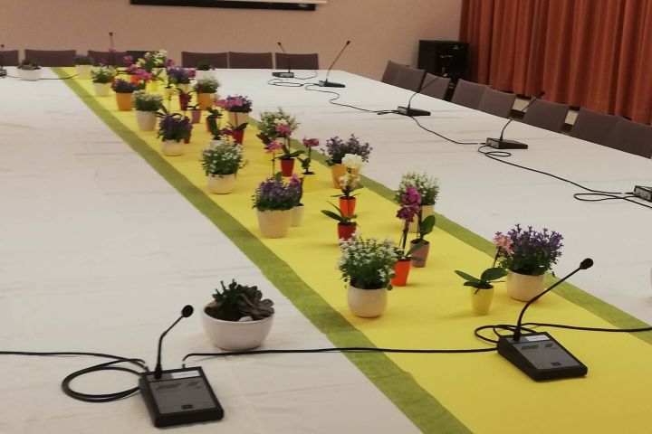 Table de conférence avec plantes en pot